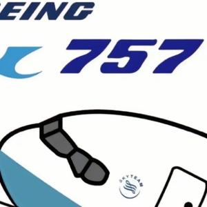 一架小小的757头像