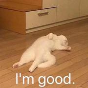 小霸王611的个人资料头像