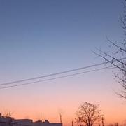 NoHeartPen的个人资料头像