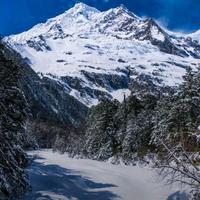 雪冬头像