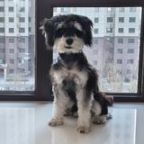 宝马遇到探界者头像