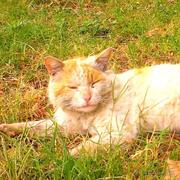 mnbing的个人资料头像