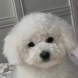 R.头像