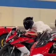 雾會散的个人资料头像