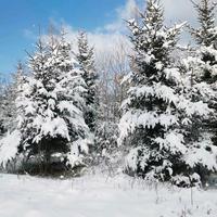 陳记录生活头像