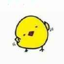 陆晓晨的个人资料头像