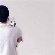 Jayce君的个人资料头像