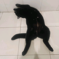 花儿嘚归宿头像