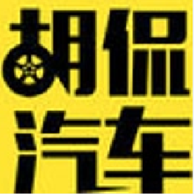 大飞帮淘车