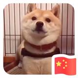聪明的艺术家4F4头像