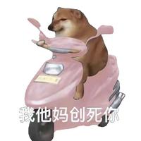 暴走的小忍者头像