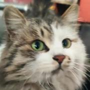 用户9230259470481的个人资料头像