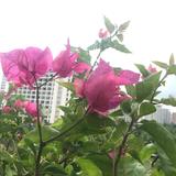见驹必赞头像