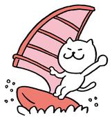 小白是只美短的个人资料头像