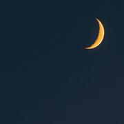 Inthewind的个人资料头像