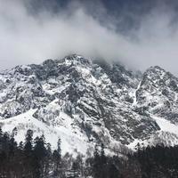 王斯特洛夫斯基全头像