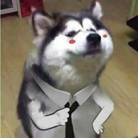 慵懒oO头像