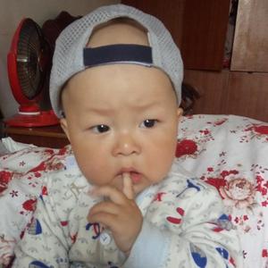 全椒小汪说虾头像