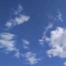 饺子馅包子的个人资料头像