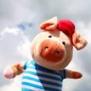 夏日研研的个人资料头像