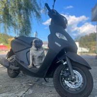 阿茂和朋友们头像