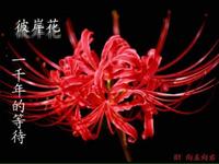 血红色的泪头像