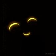 米白的灰的个人资料头像