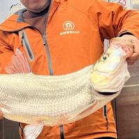 心善就是病头像