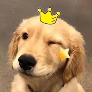 蓝橙吖头像