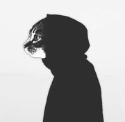 喵凯的个人资料头像