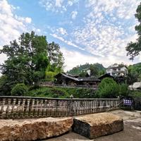 自愈系小草头像