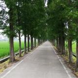 西风古道007头像