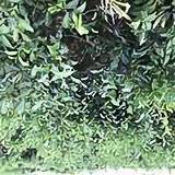 用户7038291944496头像