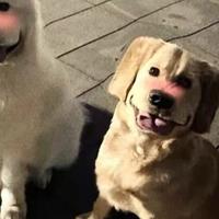 用户5534570317891头像