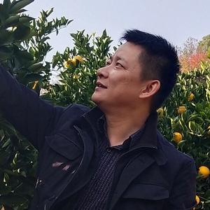 于无声处TCIL头像