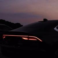 乐天派金桔5F4头像