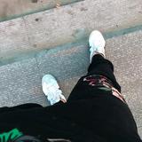 大博博头像