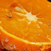 ZHANGBADAO的个人资料头像