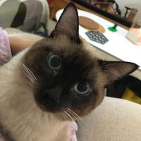 用户8602600058363头像