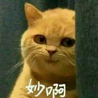 九龙5470头像