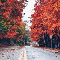 车辆左转弯头像