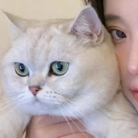 好物分享977头像