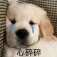 买了车去买菜 · 长安UNI-V车主·车龄2年头像