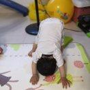 木哈哈007的个人资料头像