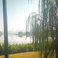 风起云涌YY2662头像