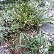 凌风3221的个人资料头像