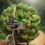 彭辉185头像