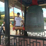 爱思考的彭彭头像