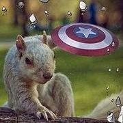 pineconeliu的个人资料头像