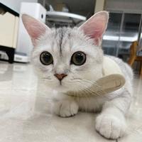 用户3401145555812头像